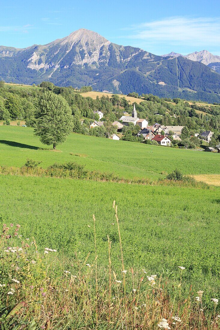 France, Hautes Alpes, Champsaur, Saint Michel Chaillol and its Saint Pierre church