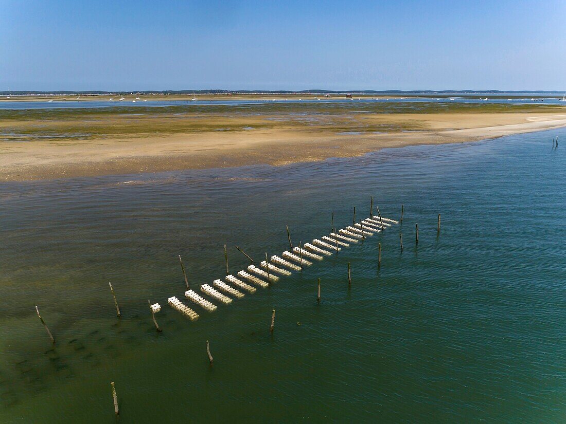 France, Gironde, Bassin d'Arcachon, La Teste de Buch, Ile aux Oiseaux, limed tiles on oyster beds (aerial view)