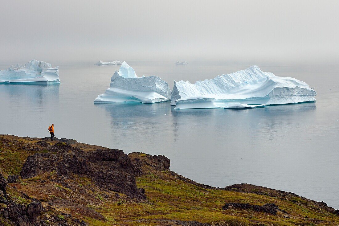 Grönland, Westküste, Disko-Insel, Qeqertarsuaq, Wanderer an der Küste und Eisberge im Nebel im Hintergrund