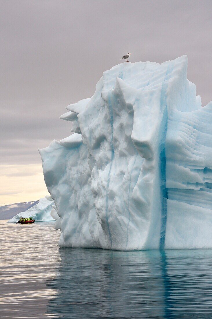 Grönland, Nordwestküste, Baffinsee, Inglefield Fjord Richtung Qaanaaq, Eisberg und ein PolarCirkel Erkundungsboot (Zodiac) des Hurtigruten-Kreuzfahrtschiffes MS Fram