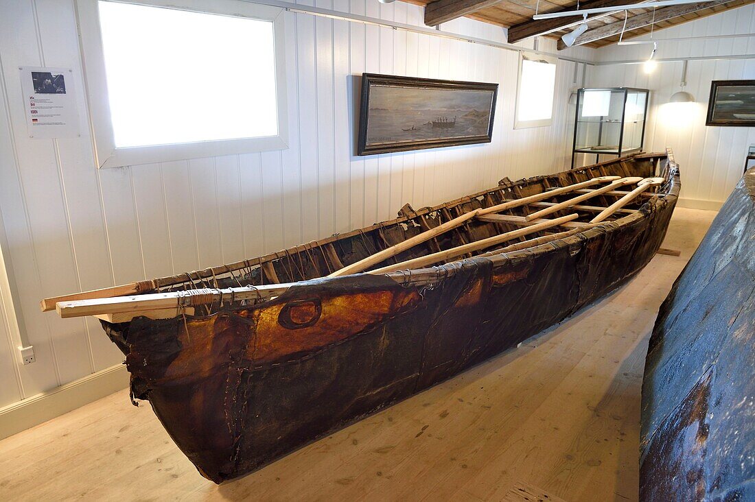 Greenland, west coast, Baffin Bay, Upernavik, the museum, traditional Umiak of the first part of the 20th century, boats made from a driftwood or whalebone frame and walrus or Bearded seal skins