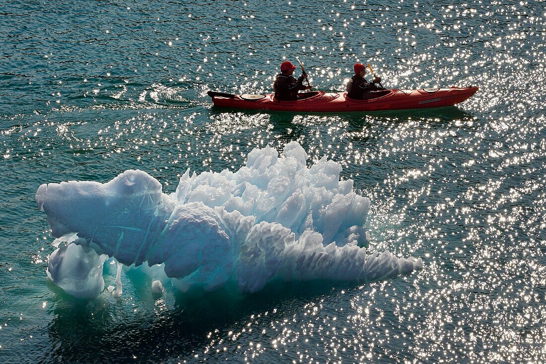 Greenland, west coast, Disko Bay, Quervain Bay, kayak progressing among icebergs