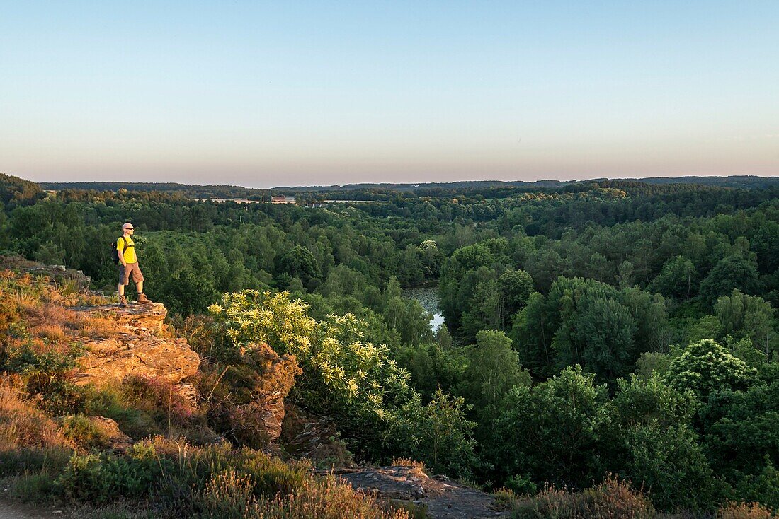 France, Ille et Vilaine, Saint-Just, protected natural area the moors of Cojoux