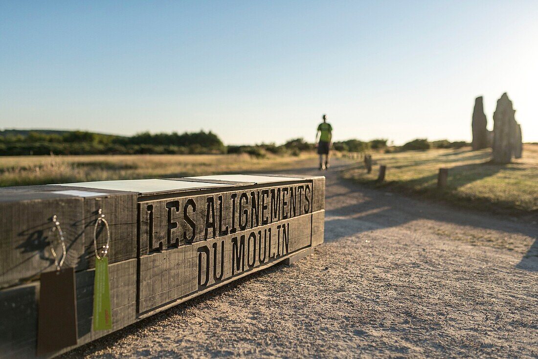 Frankreich, Ille et Vilaine, Saint-Just, geschütztes Naturgebiet das Moor von Cojoux und seine Megalithanlagen