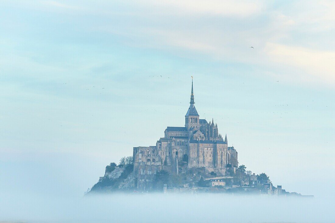 France, Manche, the Mont-Saint-Michel, view of the island and the abbey at sunrise from the mouth of the Couesnon river