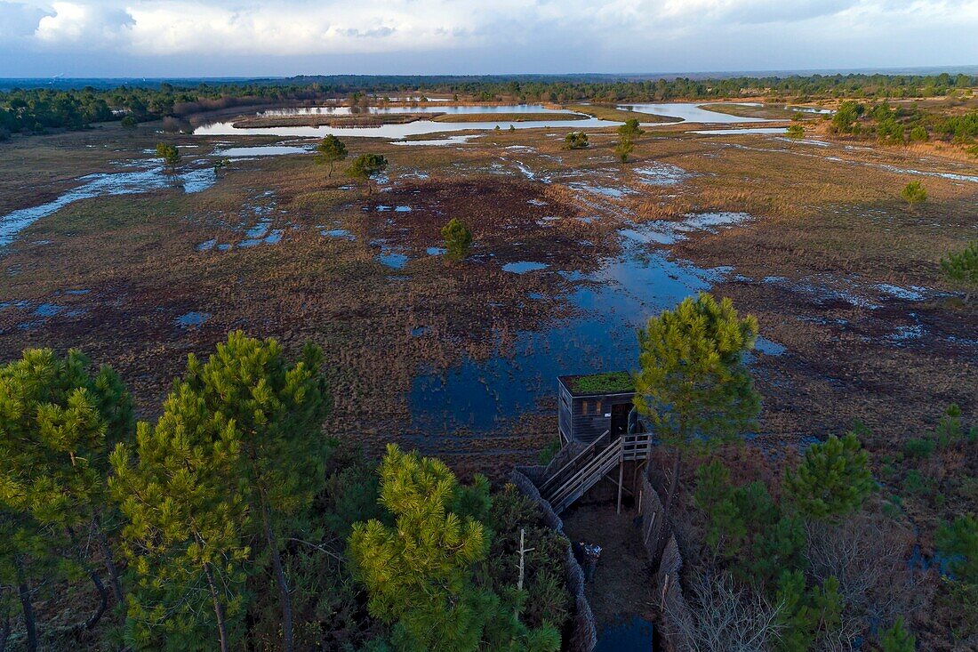 France, Landes, Arjuzanx, created on the site of a former lignite quarry, the National Nature Reserve of Arjuzanx welcomes tens of thousands of cranes (Grus grus) each year, the time of a wintering, aerial view