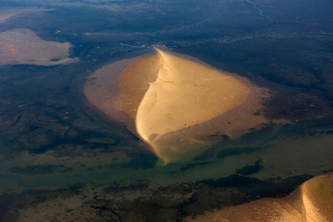 France, Gironde, Bassin d'Arcachon, La Teste de Buch, Pyla sur mer, Dune du Pilat, sandbank at low tide (aerial view)