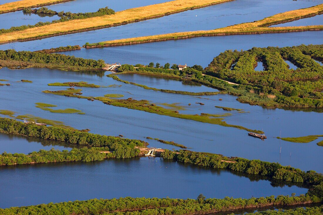 France, Gironde, Bassin d'Arcachon, Audenge, Domaine de Certes et Graveyron (aerial view)