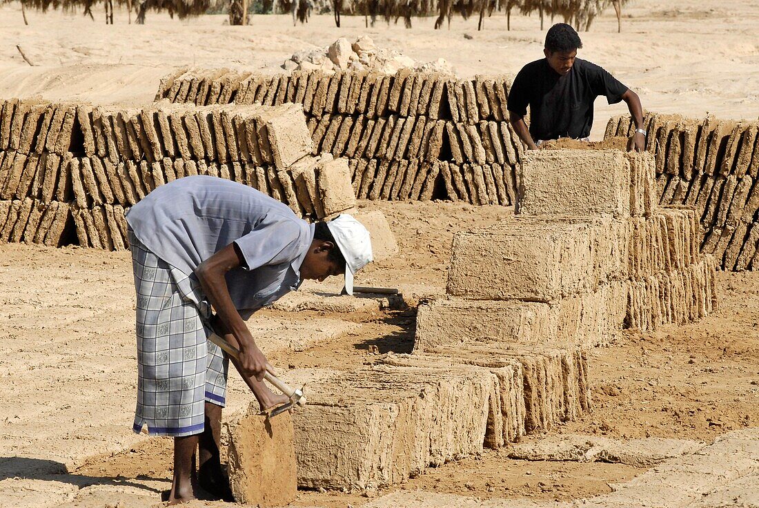 Yemen, Hadhramaut Governorate, Tarim, making mud bricks for construction