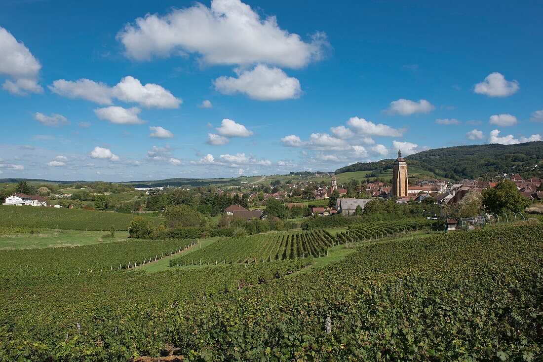 Frankreich, Jura, Arbois, Gesamtansicht des Dorfes inmitten der Weinberge