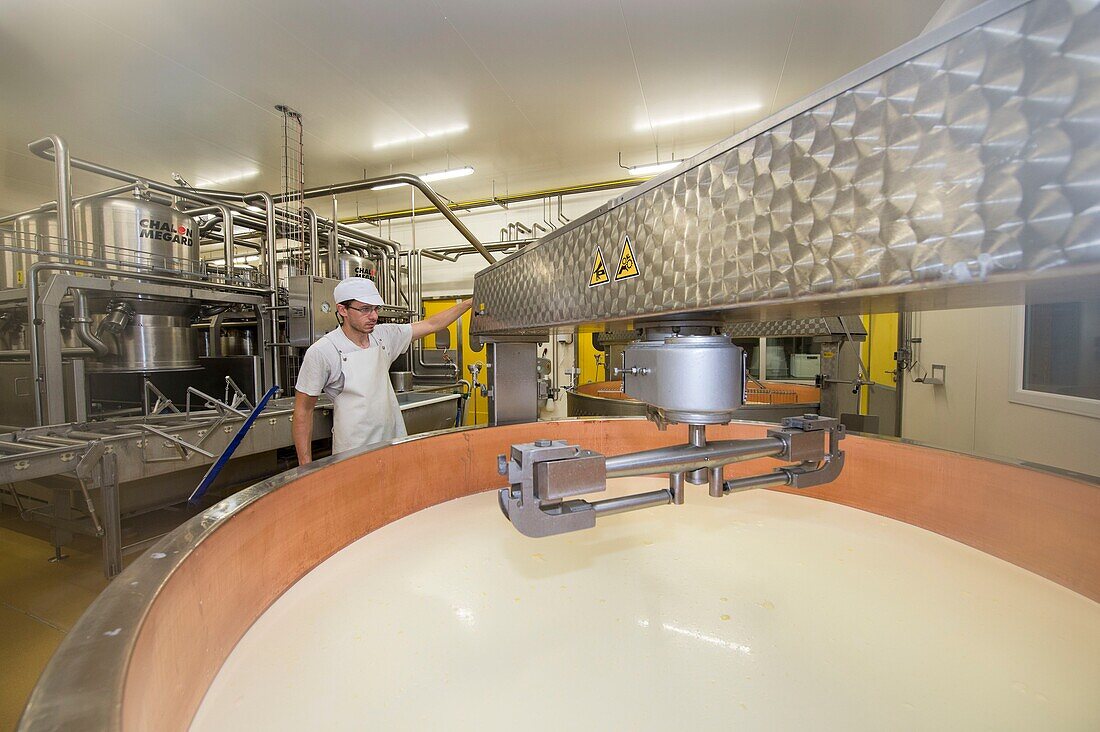 France, Jura, Poligny, the Tourmont cheese dairy, Romain Foleas produces Comté cheese, curd brewing