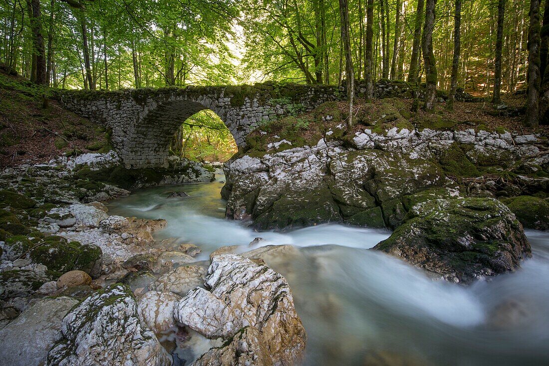 Frankreich, Ain, das Dorf Chezery Forens an den Toren des Juras, die alte Straße und die Steinbrücke über den Wildbach Valserine