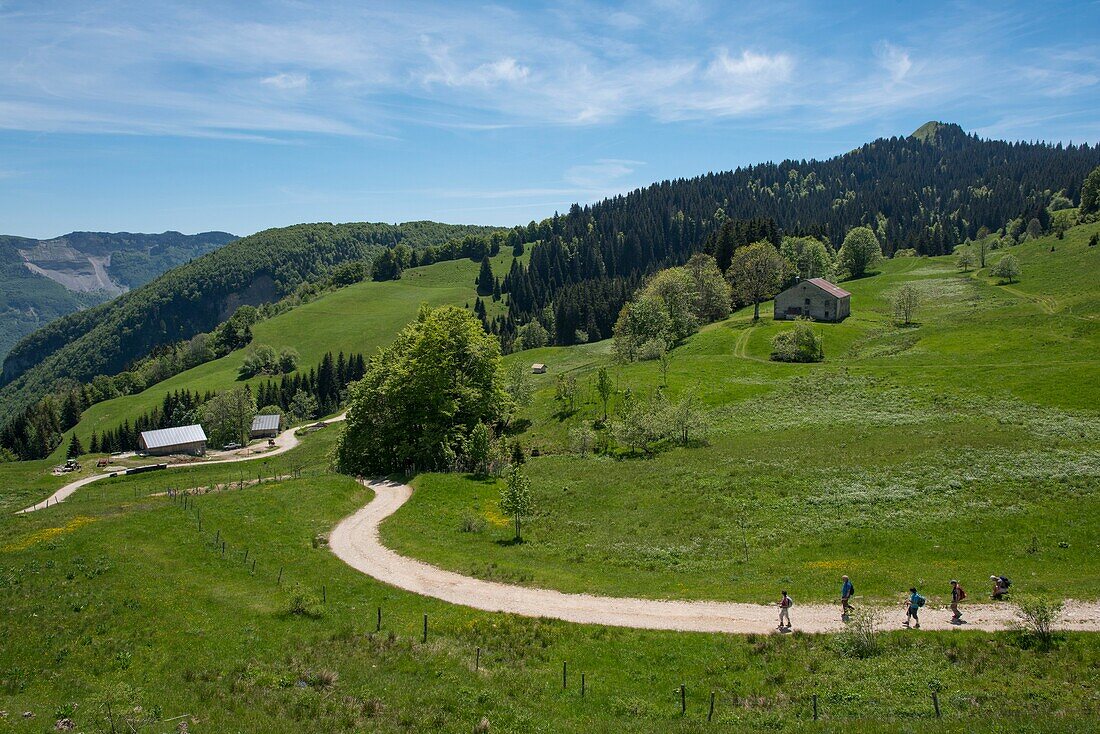 France, Jura, la Pesse the site of the border to the lions and the crêt of Chalam