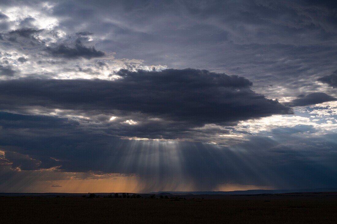 Kenya, Masai Mara Game Reserve, the plains under a storm at sunset