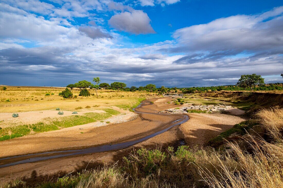 Kenya, Masai Mara Game Reserve, The Sand River