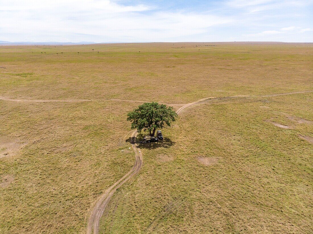 Kenya, Masai Mara Game Reserve, véhicles from a drone for lunch resting