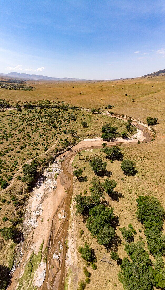 Kenya, Masai Mara Game Reserve, Sand river from a drone