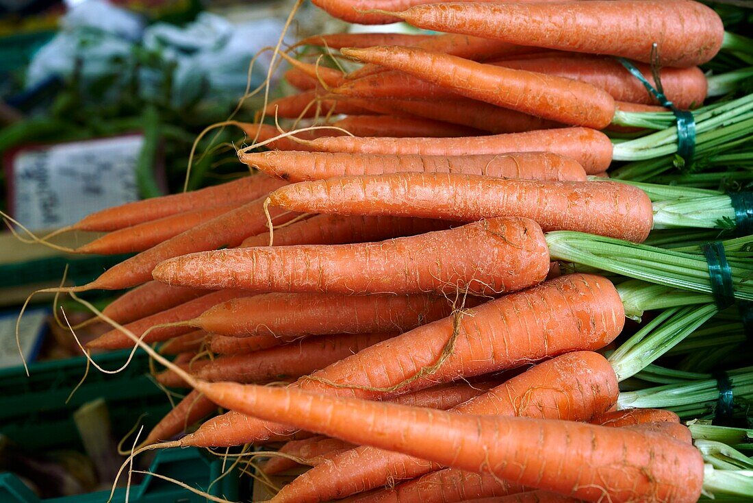 France, Haute Garonne, Bagneres de Luchon, Market Place Gabriel Rouy. carrot