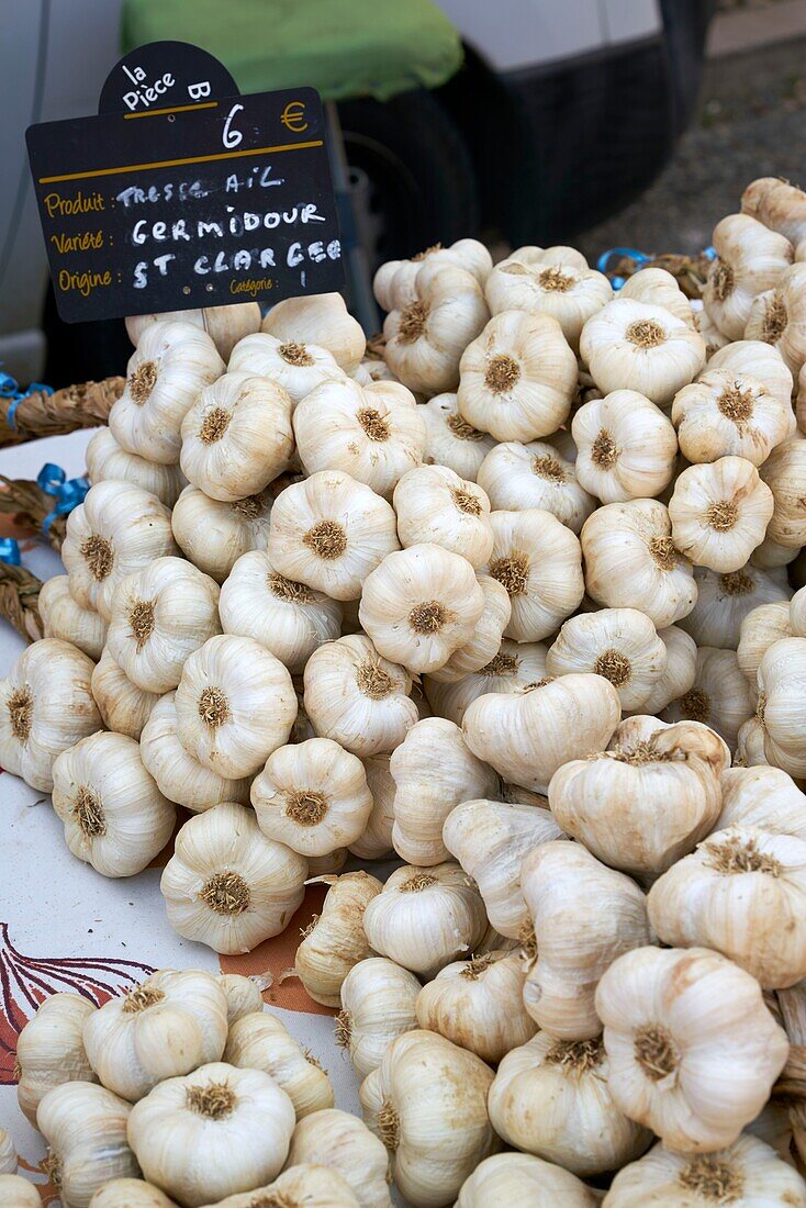France, Gers, Saint Clar, Saint Clar market, white garlic from Lomagne
