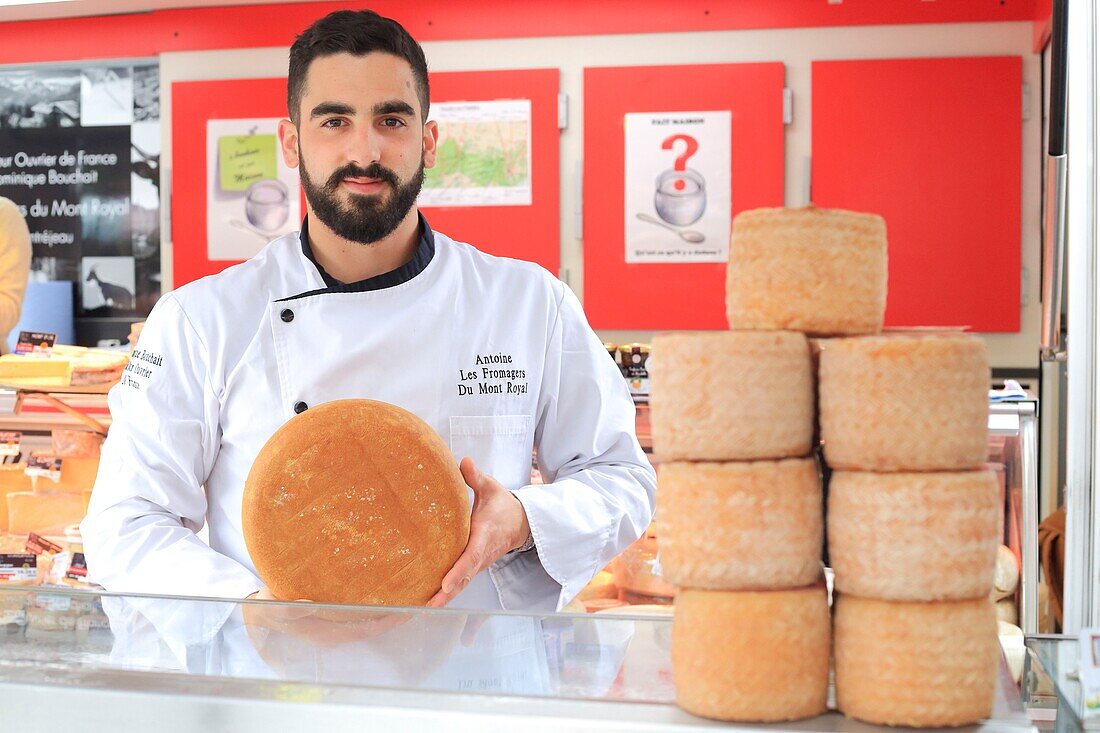 France, Hautes Pyrenees, Aure valley, Saint Lary Soulan, market day, The cheese makers of Mount Royal, Antoine Bouchent holding a Napoleon (sheep cheese)