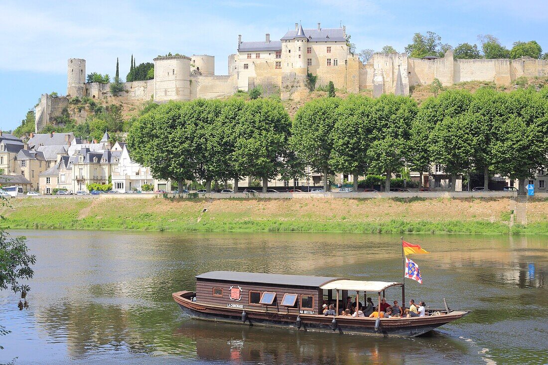France, Indre et Loire, Loire Valley listed as World Heritage by UNESCO, Chinon, traditional Ligerien boat trip (toue cabanee) on the Vienne river at the foot of the castle