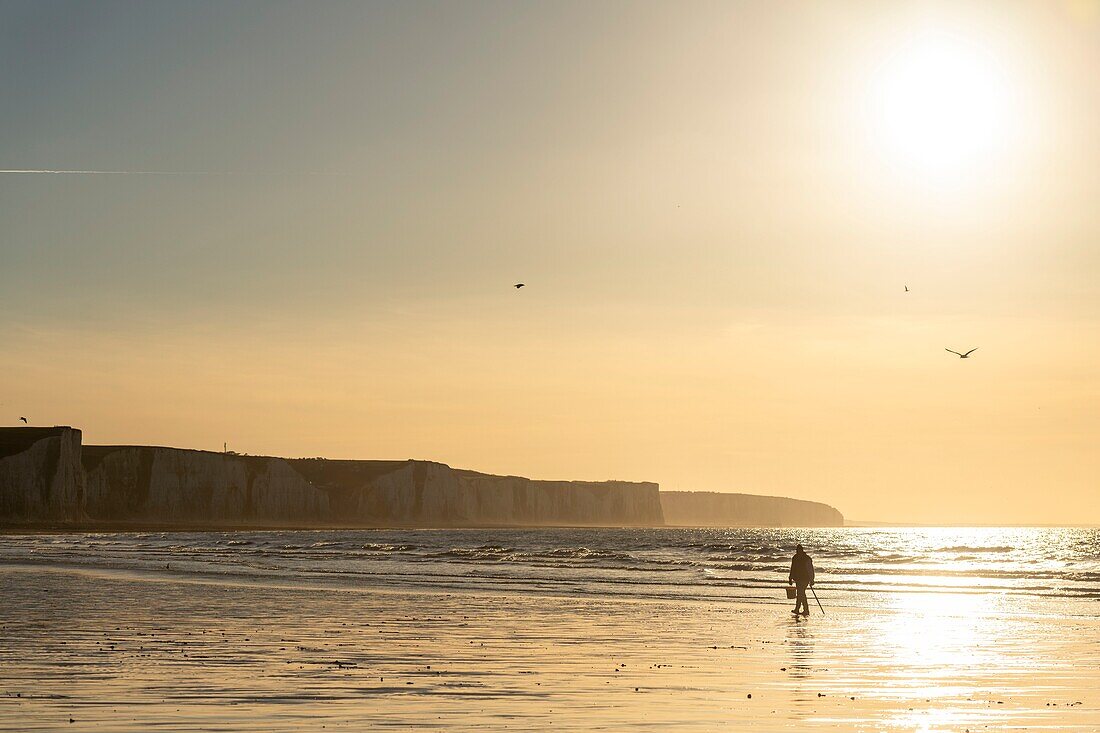 France, Somme, Bay of Somme, Picardy Coast, Ault, A mudworm fisherman on the beach at the foot of the cliffs