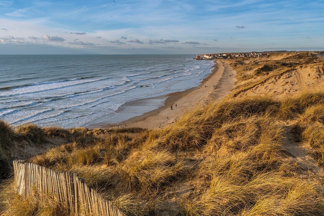 France, Pas de Calais, Opal Coast, Ambleteuse, the Slack dunes near Ambleteuse (Opal Coast), view of Ambleteuse and its fort Vauban