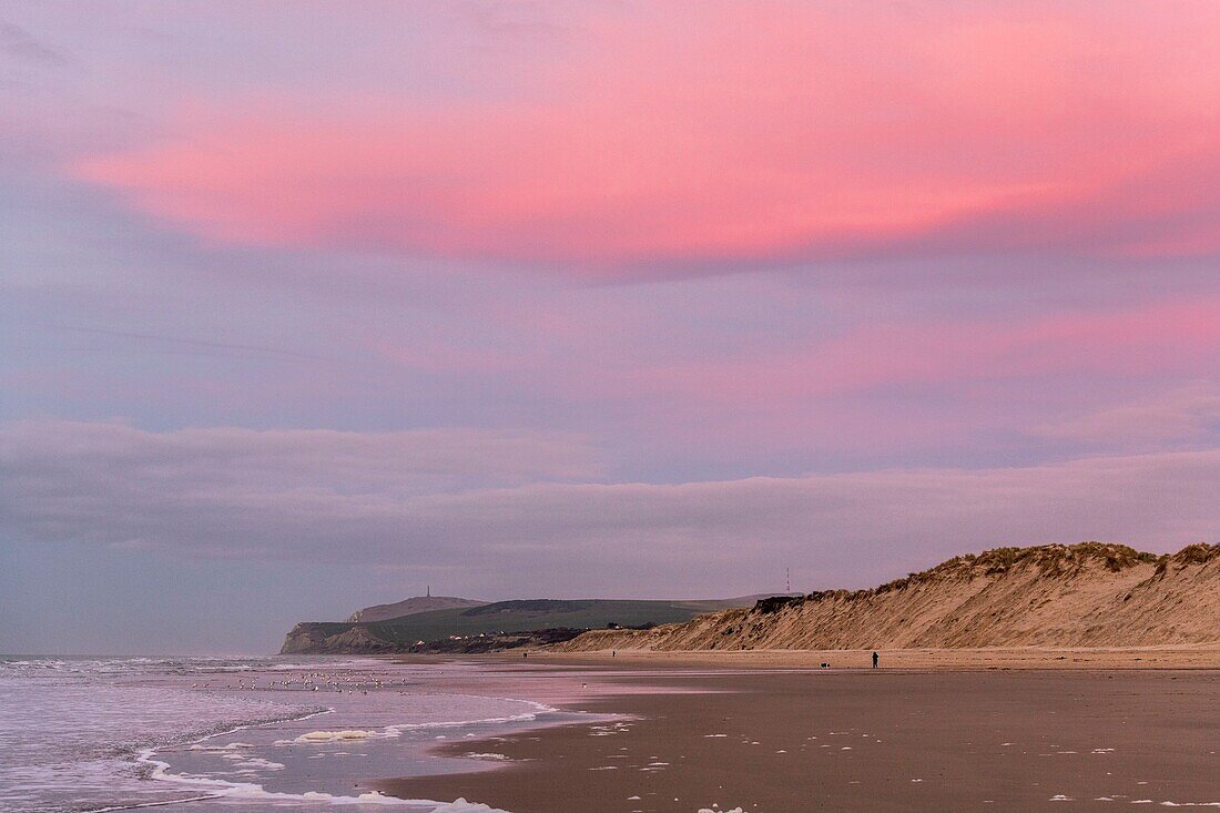 France, Pas de Calais, Opal Coast, Wissant, view of the cape Blanc nez at dusk with the sky tinged with pink