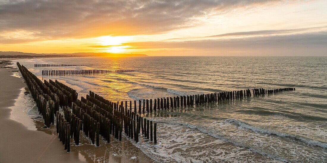 France, Pas de Calais, Opal Coast, Wissant, view of Gris Nez Cape and breakwater poles at dusk