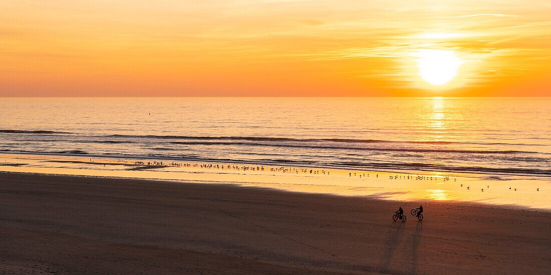 France, Somme, Bay of Somme, Quend Plage, The beach at dusk, presence of bicycle walkers