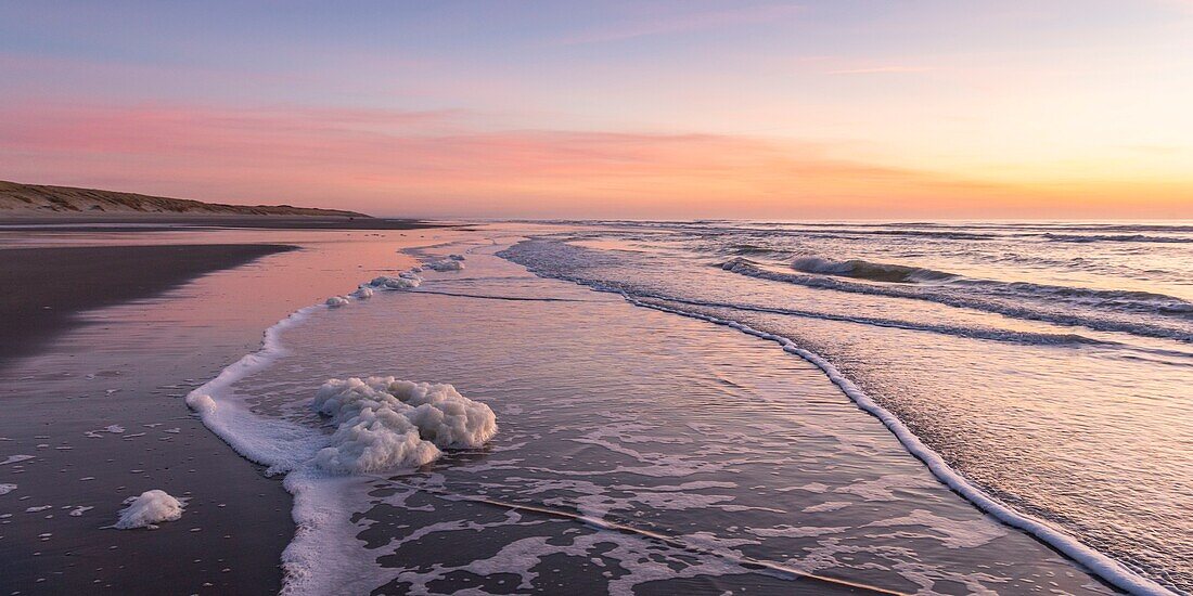 France, Somme, Bay of Somme, Quend Plage, the beach at sunset with a pack of foam