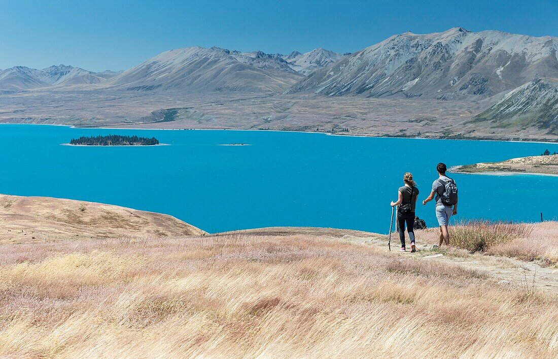 Neuseeland, Südinsel, Region Canterbury, Wanderer am Tekapo-See