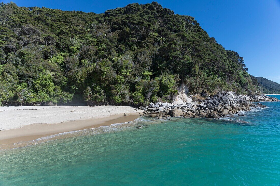 New Zealand, South Island, Tasman region, Abel Tasman National Park, Kaiteriteri