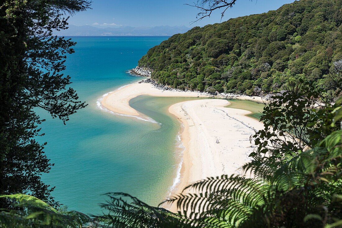 New Zealand, South Island, Tasman region, Abel Tasman National Park, Kaiteriteri