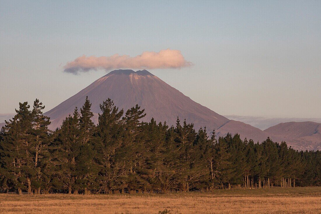 New Zealand, North Island, Waikato region, Tongariro National Park, labelled Unesco World Heritage Site, mount Ngauruhoe 2291 m