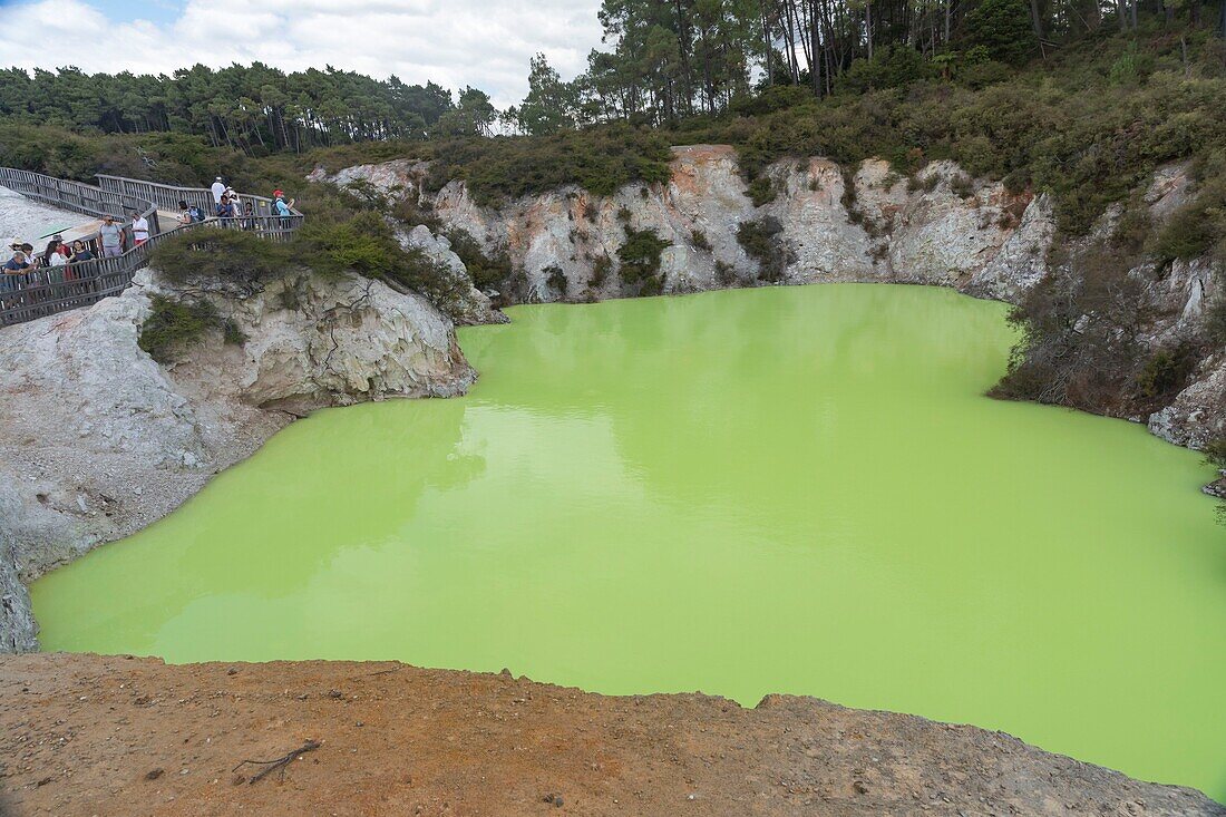 Neuseeland, Nordinsel, Waikato-Region, Wai-O-Tapu-Nationalpark, Geothermalgebiet