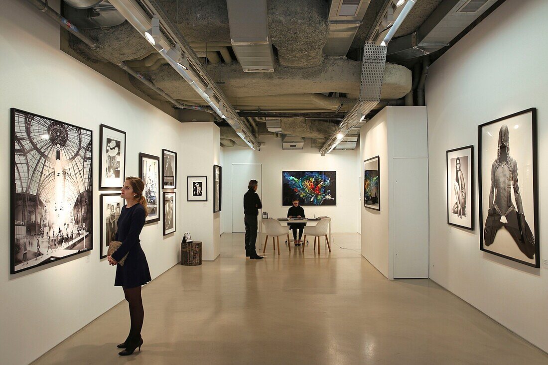 Frankreich, Paris, Hotel Royal Monceau, junge Frau besucht die Art Photo Expo, die Galerie für zeitgenössische Kunst des Royal Monceau