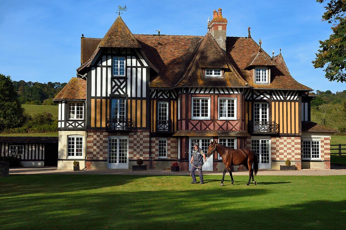 France, Calvados, Pays d'Auge, Beuvron en Auge, labelled Les Plus Beaux Villages de France (The Most Beautiful Villages of France), Manor of the Haras de Sens, the horse Gold de Padd (son of the stallion Ready Cash) held by stud groom Dominique Blachet