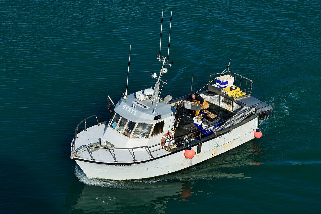 France, Seine Maritime, Pays de Caux, Cote d'Albatre, Fecamp, return to the port of a boat for whelk fishing