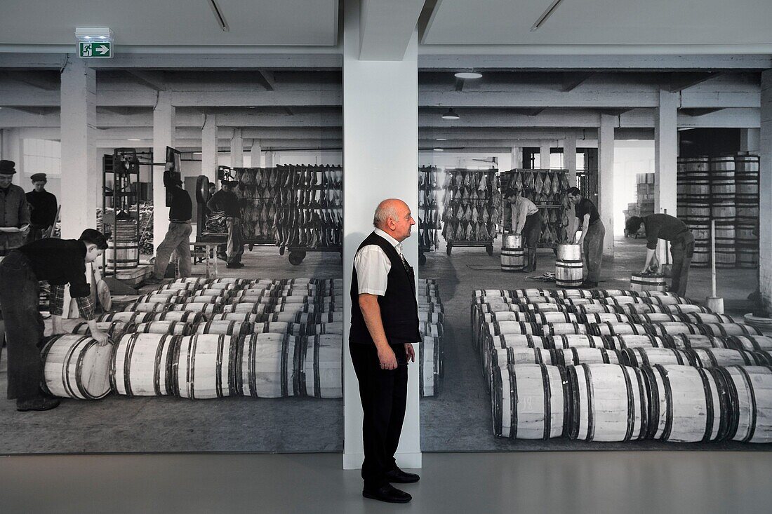 France, Seine Maritime, Pays de Caux, Cote d'Albatre, Fecamp, Les Pecheries (Fishery) - Museum of Fecamp in a former cod dryer formerly owned by the coder armament Les Pecheries de Fecamp, photo in B & W reproduced in situ from the former workers at work