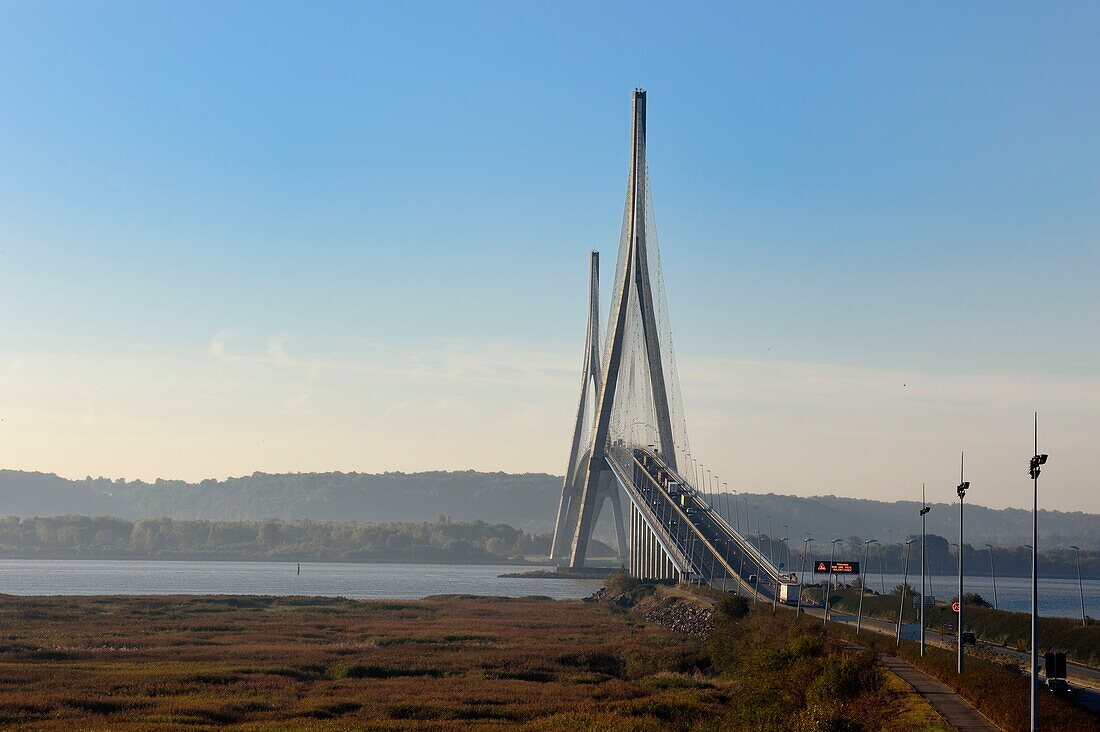 Frankreich, Seine Maritime, Naturschutzgebiet der Seine-Mündung und Normandie-Brücke, im Vordergrund das Schilfgebiet