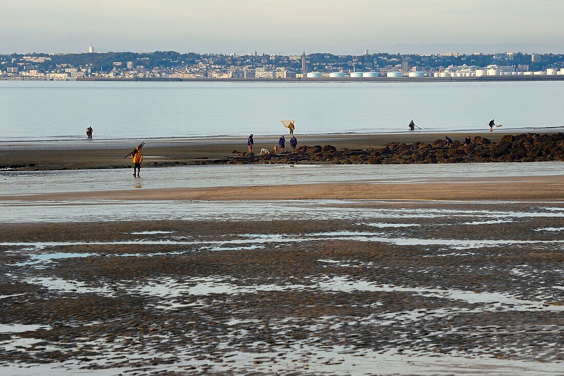 France, Calvados, Pays d'Auge, Trouville sur Mer, the Roches Noires (Black Rocks) beach which extends for several kilometers towards Hennequeville and Villerville, Le Havre port in the background