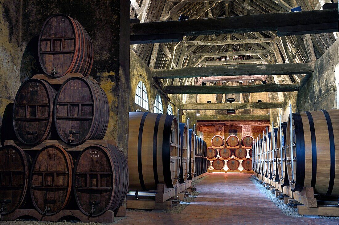 France, Calvados, Pays d'Auge, Le Breuil en Auge, Chateau du Breuil producer of Calvados AOC Pays d'Auge, barrels in aging cellars