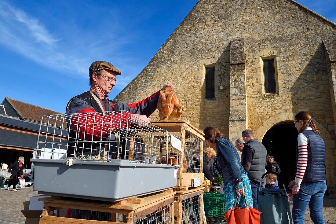 Frankreich, Calvados, Pays d'Auge, Saint Pierre sur Dives, Markttag vor der Markthalle aus dem 11. Jahrhundert, die im 15. Jahrhundert wieder aufgebaut wurde, der Züchter Pierre-Alain verkauft seine Kaninchen lebend