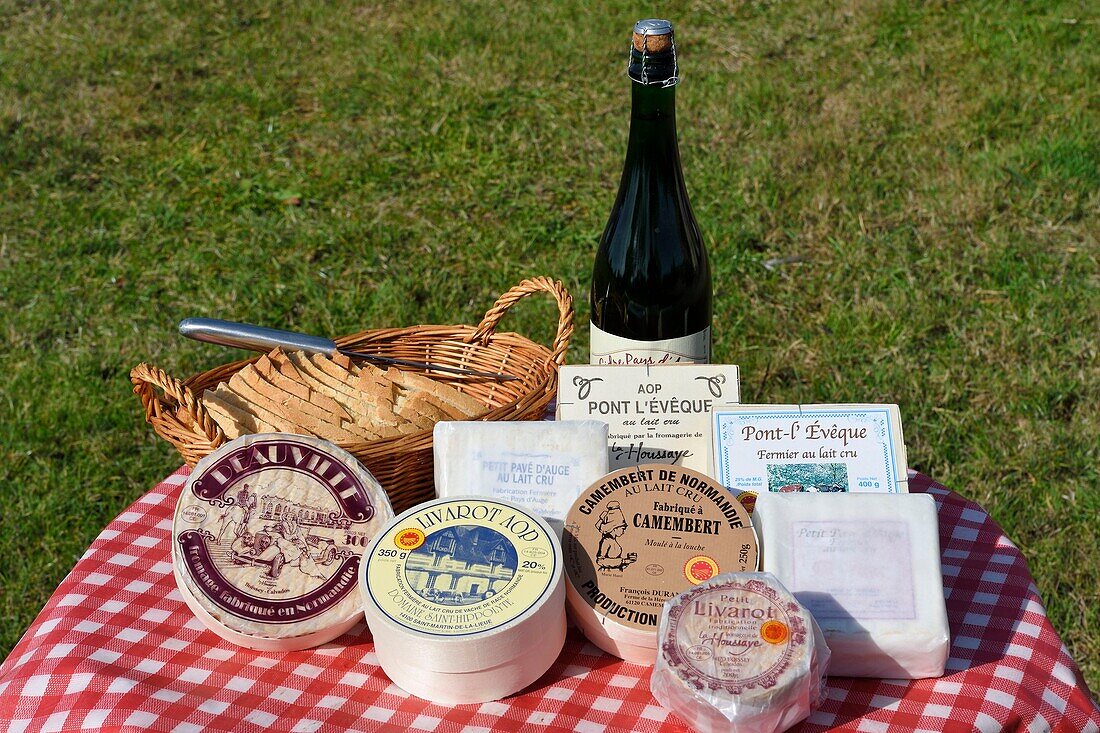 Frankreich, Orne, Dorf Camembert, Bauernkäse aus Rohmilch aus dem Pays d'Auge