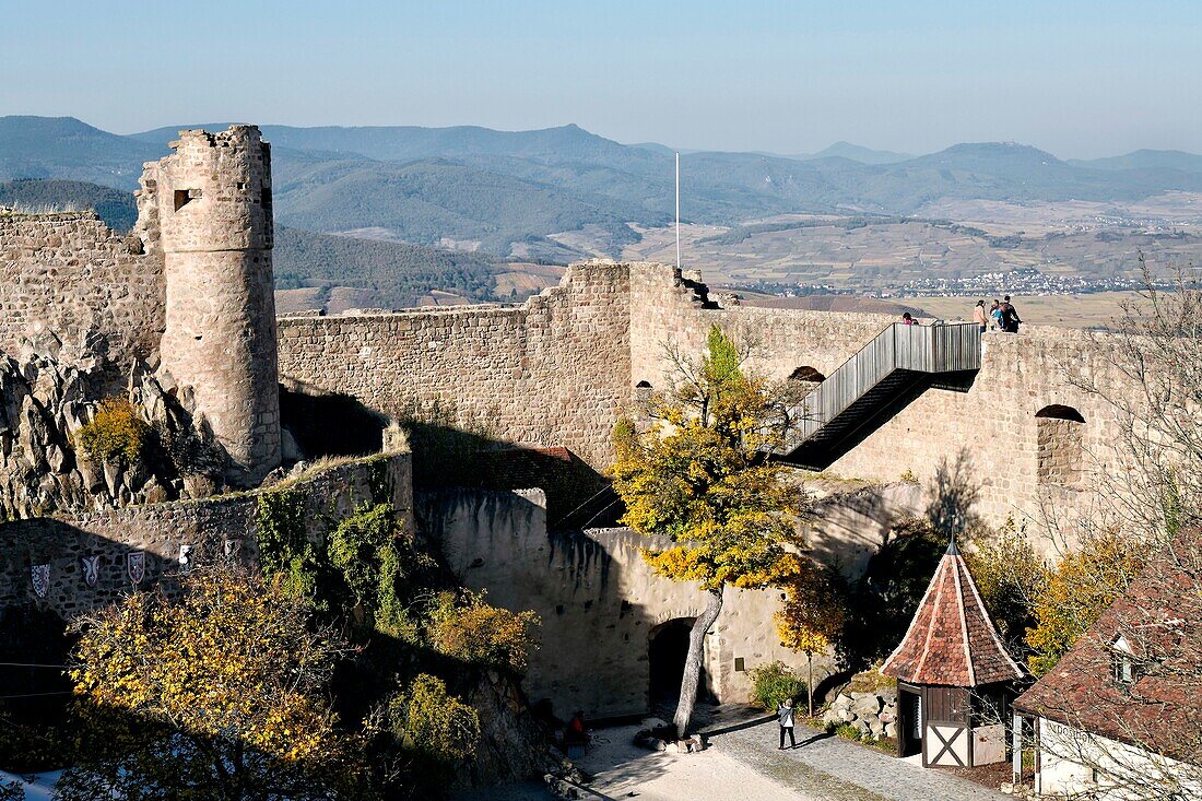 France, Haut Rhin, Wintzenheim, the Hohlandsbourg castle.