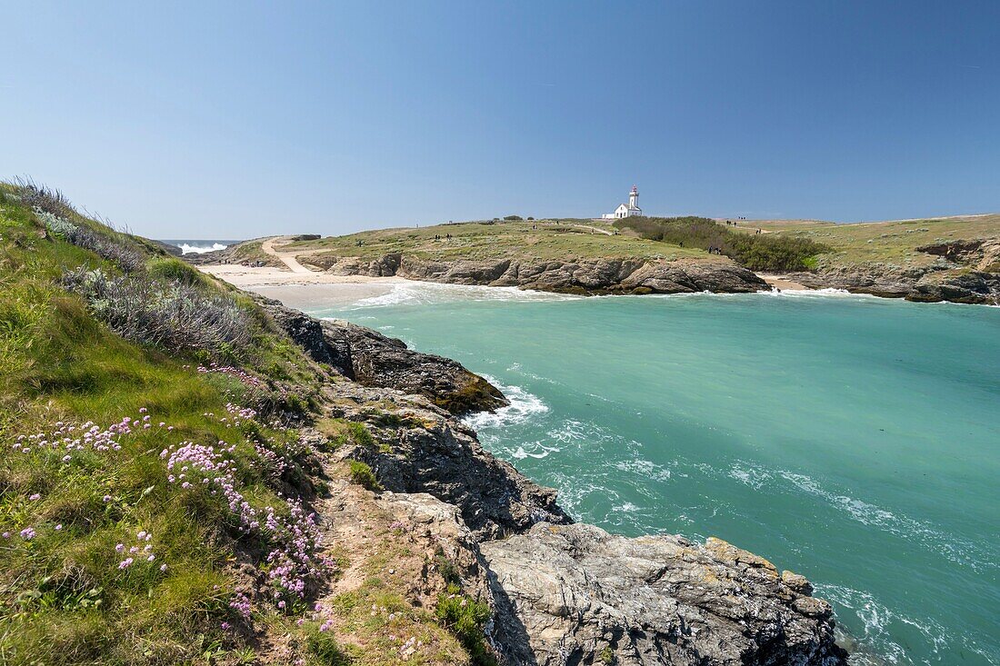 France, Morbihan, Belle-Ile island, Sauzon, the Pointe des Poulains and the the lighthouse in background