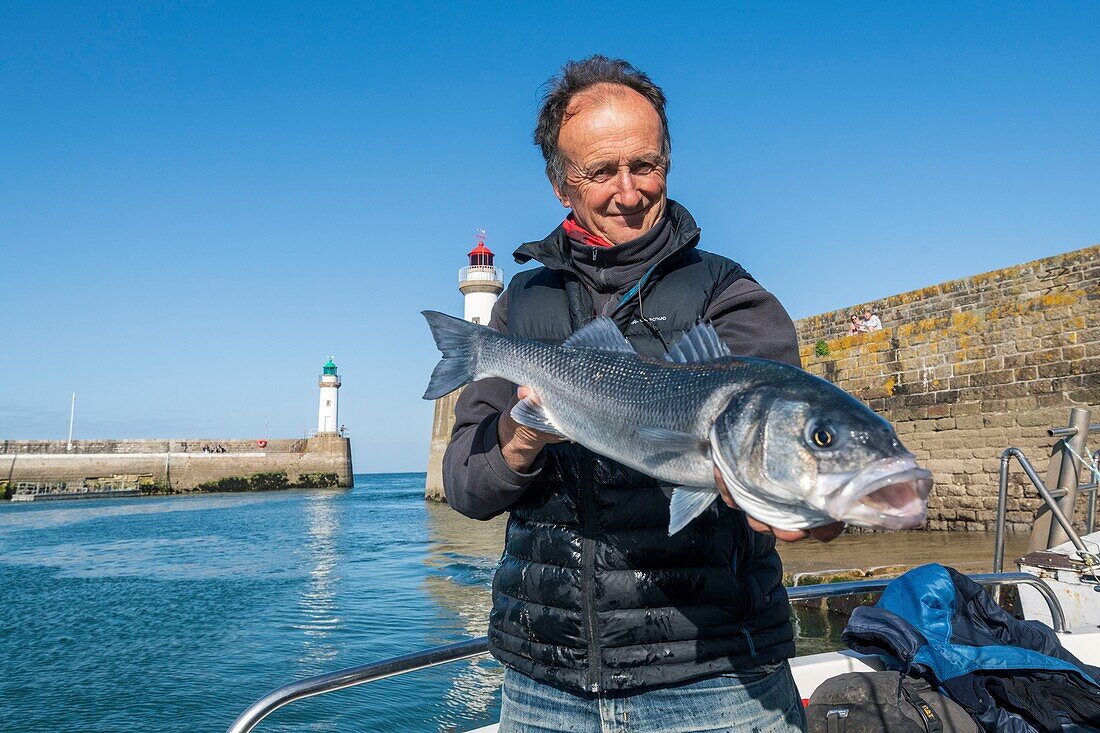 Frankreich, Morbihan, Insel Belle-Ile, le Palais, Angelführer und Ausbilder Arnaud de Wildenberg bei der Rückkehr in den Hafen mit einem Barsch (Dicentrarchus labrax)