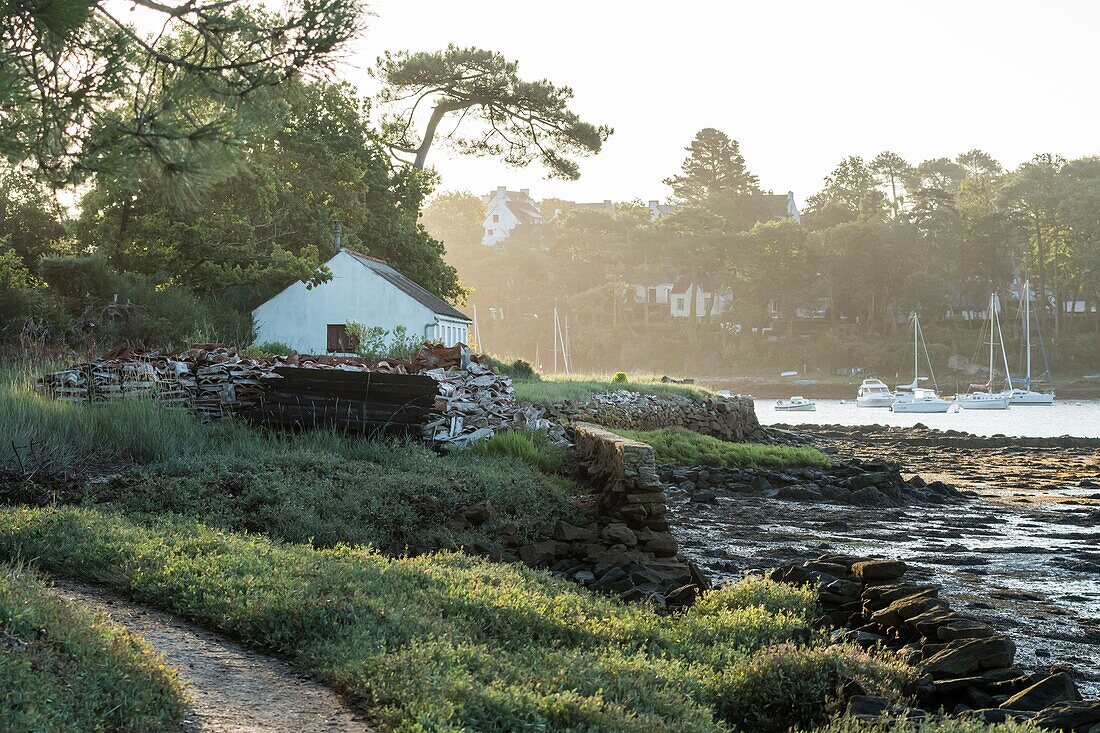 France, Morbihan, Bono, old oyster farm on the banks of the river Auray at dawn