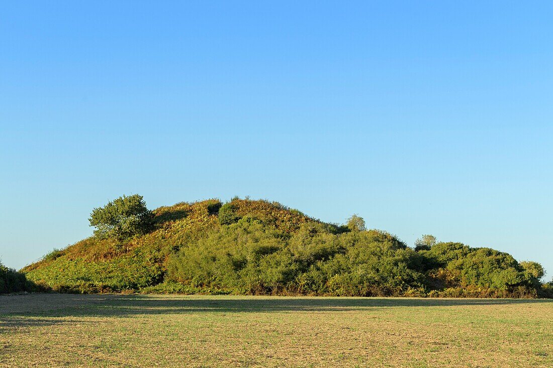 France, Morbihan, Arzon, the tumulus of Tumiac or hillock of Caesar